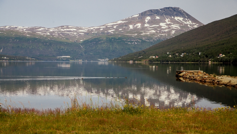 Цветущая Норвегия (июль-август 2014) (не закончен)