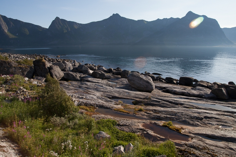 Цветущая Норвегия (июль-август 2014) (не закончен)
