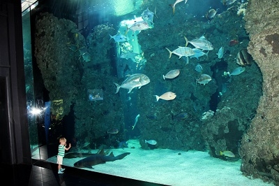 Автотур в Европу с ребенком. Через прибалтику к Франции. 2012г