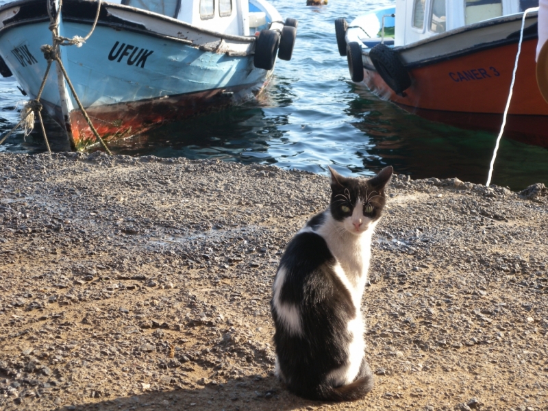 Стамбул как средство от депрессии