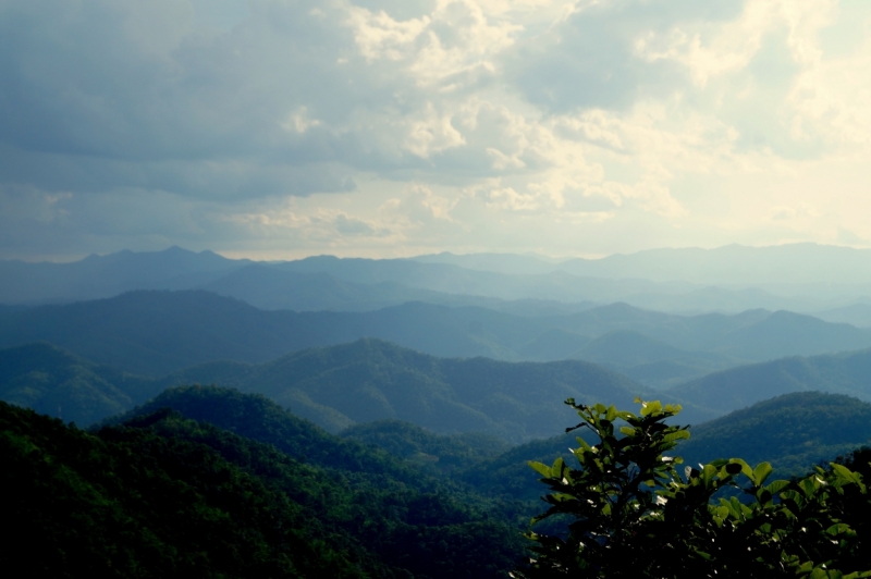 Почувствуй мою Азию