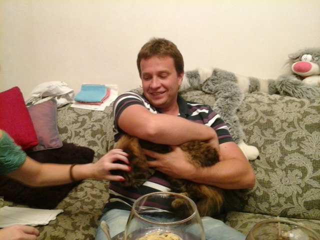 Поговорим о кошках 29