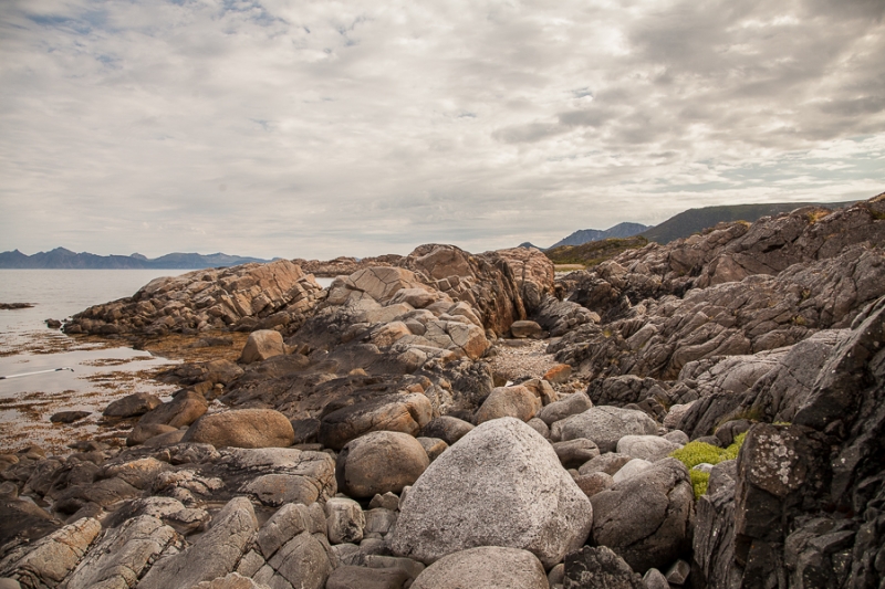 Цветущая Норвегия (июль-август 2014) (не закончен)