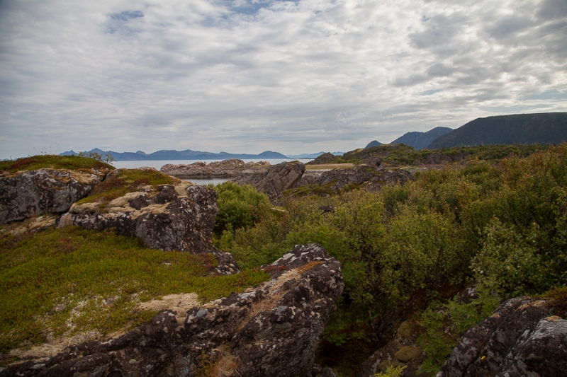 Цветущая Норвегия (июль-август 2014) (не закончен)