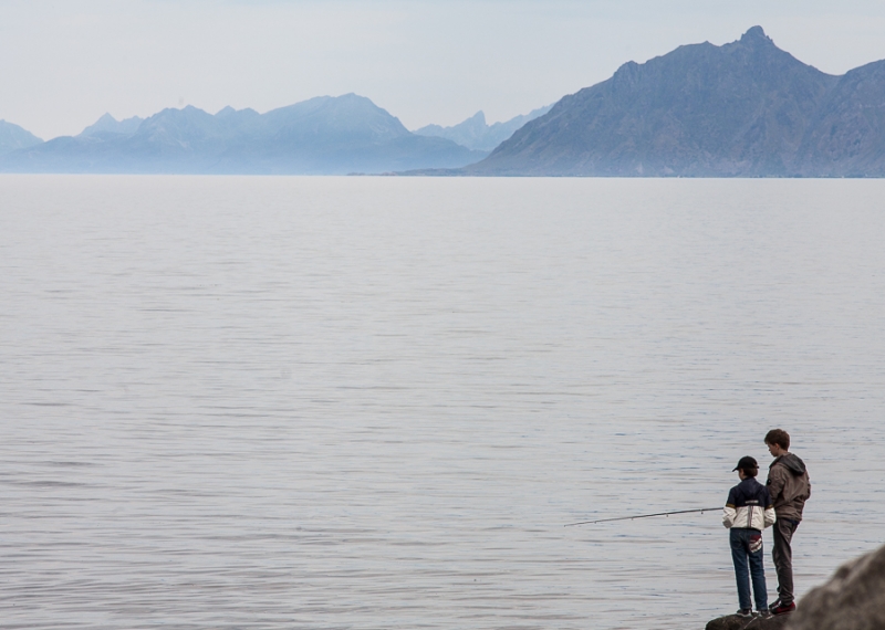 Цветущая Норвегия (июль-август 2014) (не закончен)