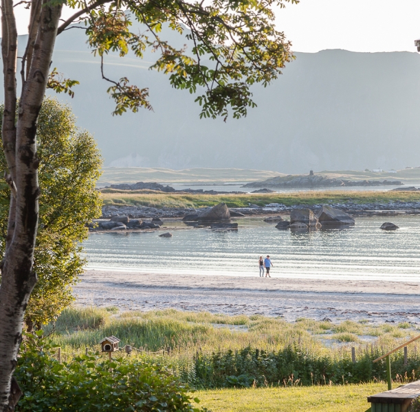 Цветущая Норвегия (июль-август 2014) (не закончен)