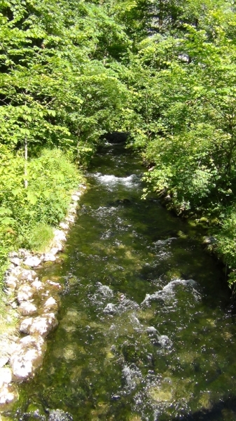 Альпийский автопробег