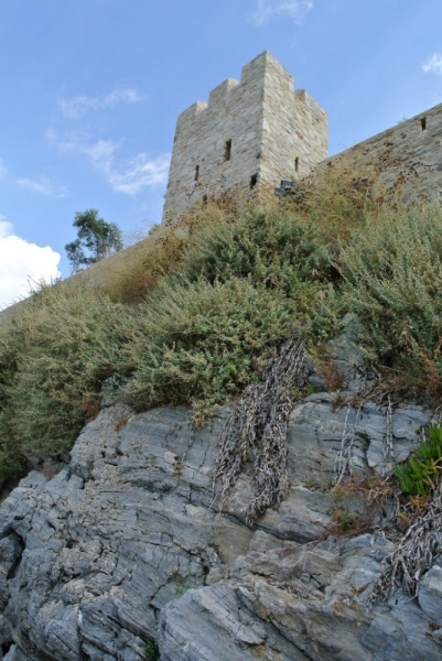 Галопом по западному побережью Турции: Стамбул-Бодрум-Дидим-Кушадасы-Бергама-Измир-Стамбул