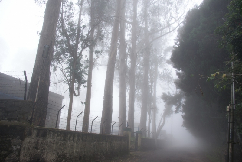 Черная жемчужина Индии - Тамил Над (август 2011)