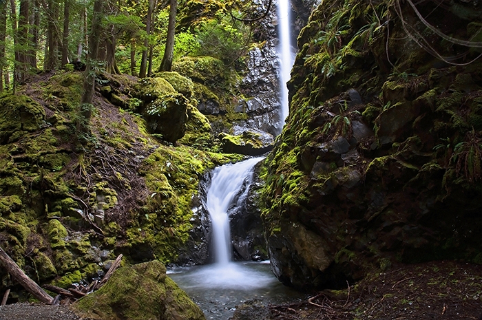 На автомобиле по острову Ванкувер (Campbell River–Gold River–Woss)