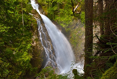 На автомобиле по острову Ванкувер (Campbell River–Gold River–Woss)