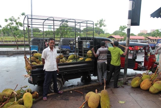 Шри Ланка в одиночку: Храмы, горы, море и 3 национальных парка