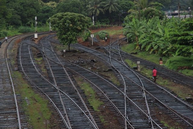 Шри Ланка в одиночку: Храмы, горы, море и 3 национальных парка