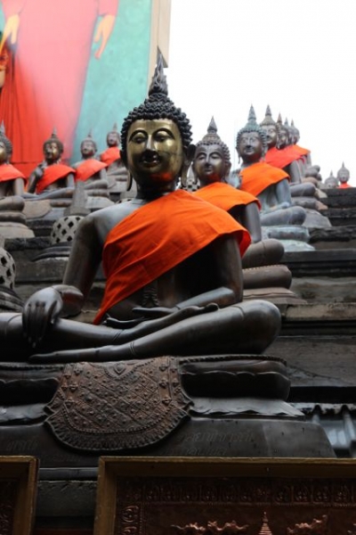 Шри Ланка в одиночку: Храмы, горы, море и 3 национальных парка