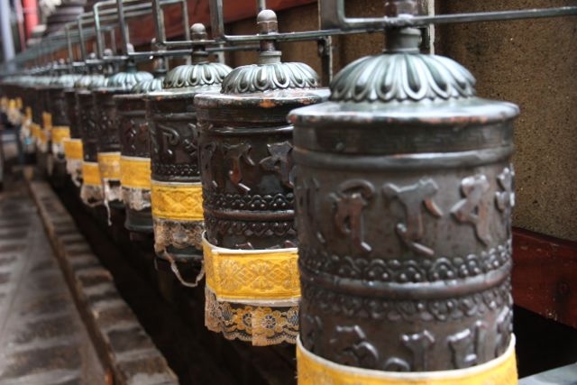 Шри Ланка в одиночку: Храмы, горы, море и 3 национальных парка