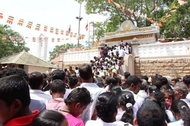 Шри Ланка в одиночку: Храмы, горы, море и 3 национальных парка