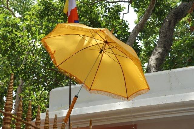 Шри Ланка в одиночку: Храмы, горы, море и 3 национальных парка