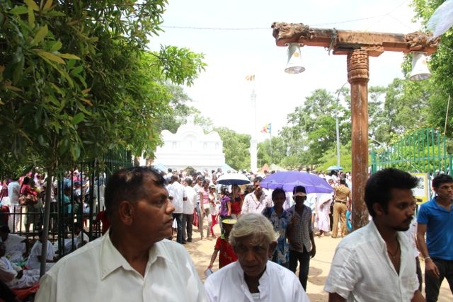 Шри Ланка в одиночку: Храмы, горы, море и 3 национальных парка