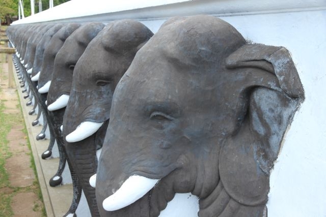 Шри Ланка в одиночку: Храмы, горы, море и 3 национальных парка