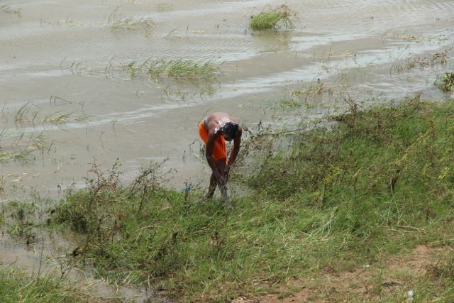 Шри Ланка в одиночку: Храмы, горы, море и 3 национальных парка