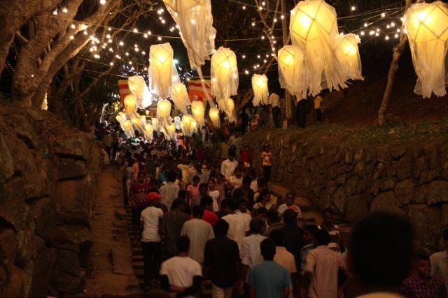 Шри Ланка в одиночку: Храмы, горы, море и 3 национальных парка