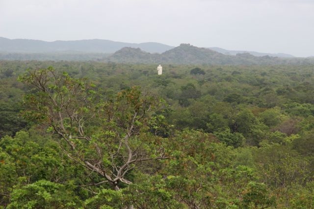 Шри Ланка в одиночку: Храмы, горы, море и 3 национальных парка