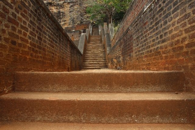 Шри Ланка в одиночку: Храмы, горы, море и 3 национальных парка