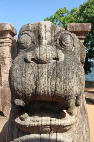 Шри Ланка в одиночку: Храмы, горы, море и 3 национальных парка