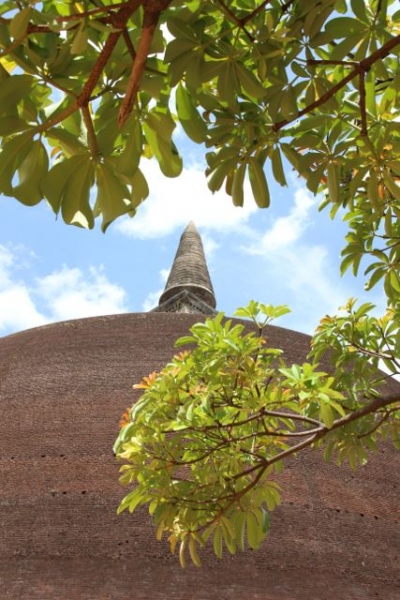 Шри Ланка в одиночку: Храмы, горы, море и 3 национальных парка