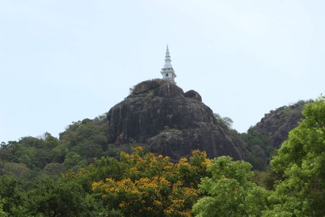 Шри Ланка в одиночку: Храмы, горы, море и 3 национальных парка