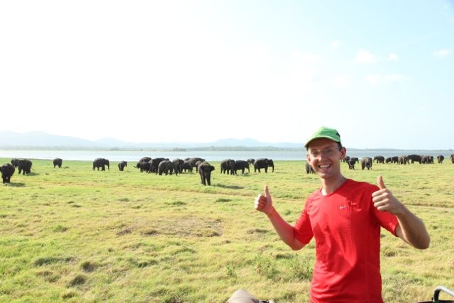 Шри Ланка в одиночку: Храмы, горы, море и 3 национальных парка