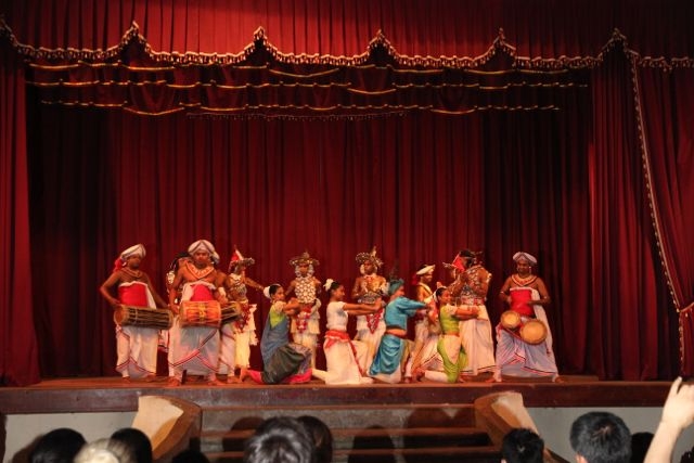 Шри Ланка в одиночку: Храмы, горы, море и 3 национальных парка