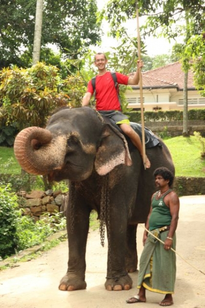 Шри Ланка в одиночку: Храмы, горы, море и 3 национальных парка