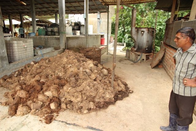 Шри Ланка в одиночку: Храмы, горы, море и 3 национальных парка
