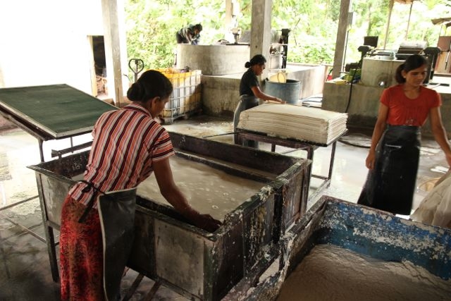 Шри Ланка в одиночку: Храмы, горы, море и 3 национальных парка
