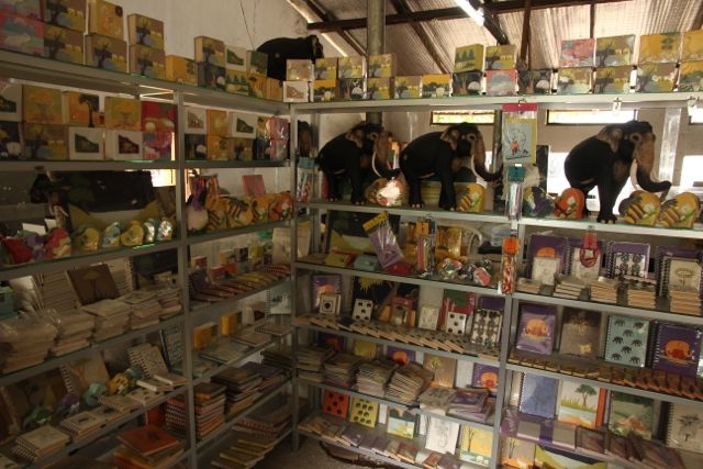 Шри Ланка в одиночку: Храмы, горы, море и 3 национальных парка