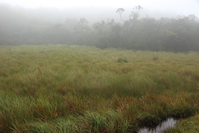 Шри Ланка в одиночку: Храмы, горы, море и 3 национальных парка