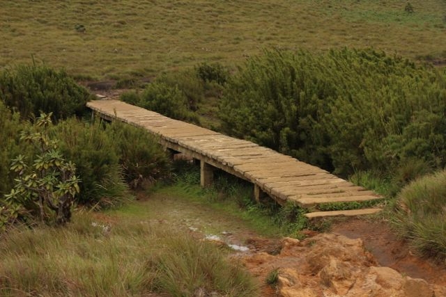 Шри Ланка в одиночку: Храмы, горы, море и 3 национальных парка