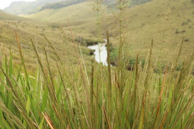 Шри Ланка в одиночку: Храмы, горы, море и 3 национальных парка