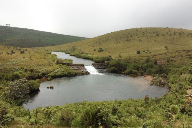 Шри Ланка в одиночку: Храмы, горы, море и 3 национальных парка