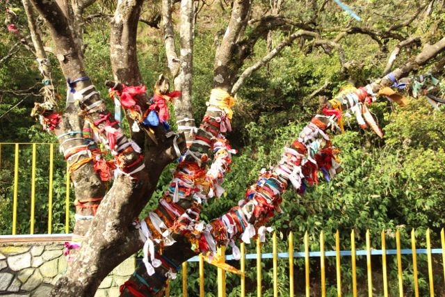 Шри Ланка в одиночку: Храмы, горы, море и 3 национальных парка