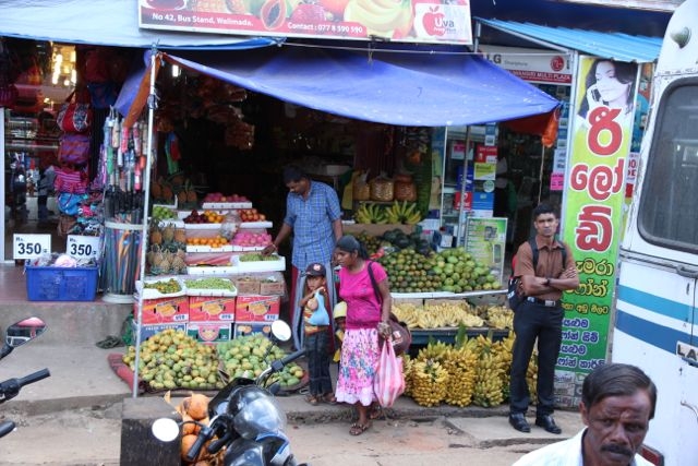 Шри Ланка в одиночку: Храмы, горы, море и 3 национальных парка