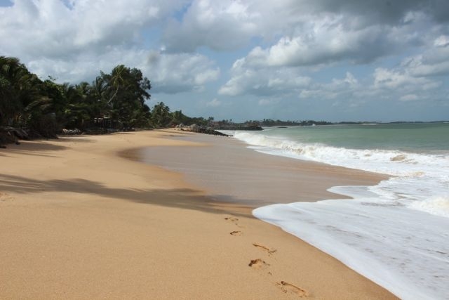 Шри Ланка в одиночку: Храмы, горы, море и 3 национальных парка