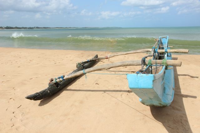 Шри Ланка в одиночку: Храмы, горы, море и 3 национальных парка