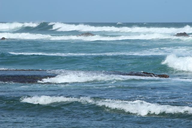 Шри Ланка в одиночку: Храмы, горы, море и 3 национальных парка