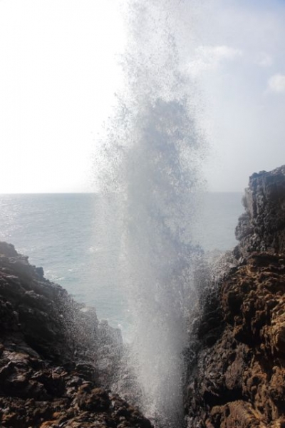 Шри Ланка в одиночку: Храмы, горы, море и 3 национальных парка