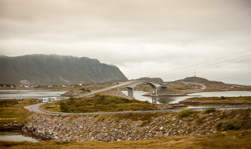 Цветущая Норвегия (июль-август 2014) (не закончен)