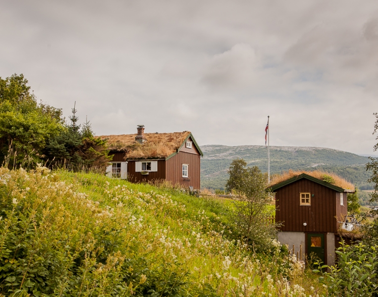 Цветущая Норвегия (июль-август 2014) (не закончен)