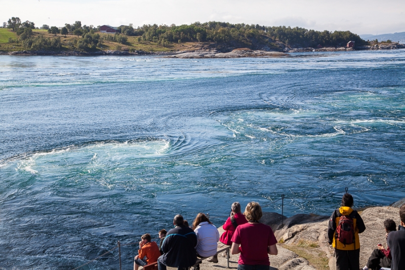 Цветущая Норвегия (июль-август 2014) (не закончен)