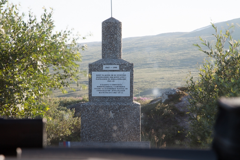 Цветущая Норвегия (июль-август 2014) (не закончен)